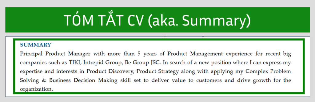 Summary trong CV là gì