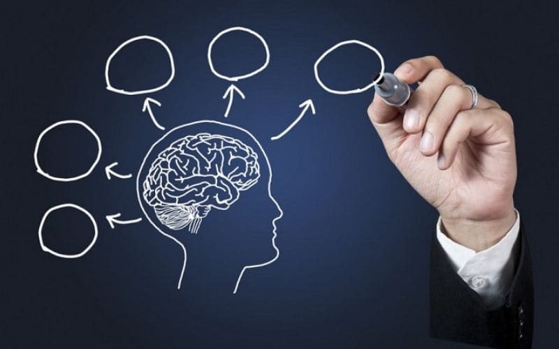 Việc hiểu rõ tâm lý hành vi giúp bạn xây dựng các chiến lược marketing cá nhân hóa